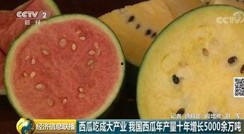 吃瓜的中国,揭秘中国吃瓜群众的趣味生活与独特视角