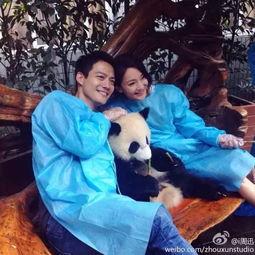 周迅头像吃瓜,揭秘明星幕后趣闻