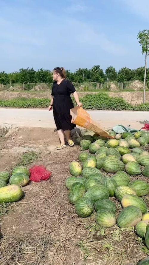 农村吃瓜网,揭秘乡村生活趣味,畅享田园风光