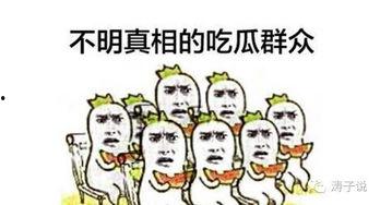 辰子吃瓜群众,揭秘娱乐圈幕后故事