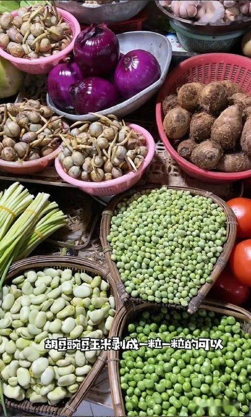 带你吃瓜南方,探寻美食与文化的独特魅力