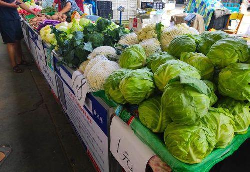 水产吃瓜,揭秘水产养殖中的趣味现象