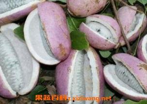 恩施的瓜要晚上吃,晚食更添一份香