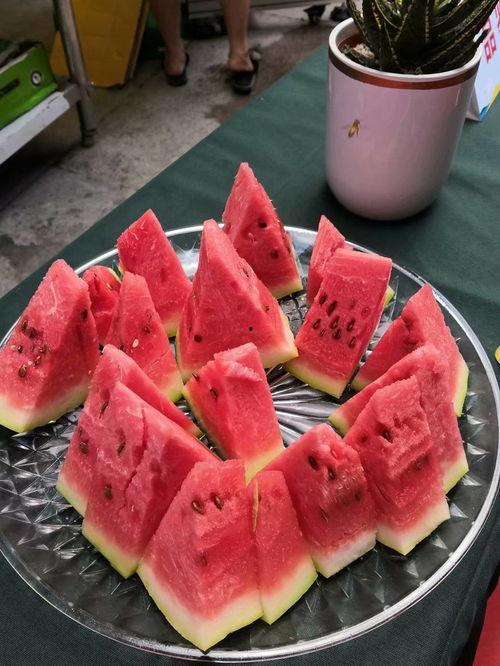 重庆吃瓜大嘴,揭秘山城美食背后的故事