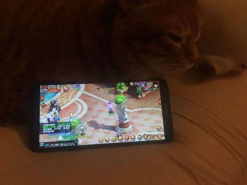 刷子吃大瓜,趣味横生上演吃瓜盛宴