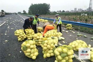 河南长垣吃瓜新闻,一场引发热议的街头冲突