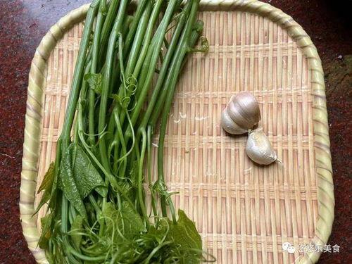 树叶神罚吃瓜,揭秘神秘吃瓜事件的背后真相