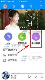 直播点歌吃瓜,吃瓜群众见证音乐与娱乐的跨界狂欢